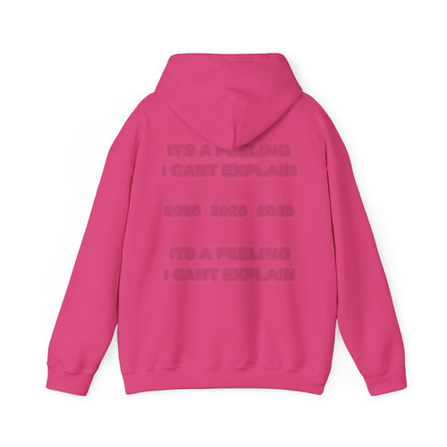 Like You Hoodie